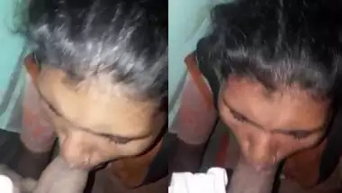 Adivasi Foking Video - Dehati Adivasi Girl Giving Blowjob To Her Lover Video indian sex tube